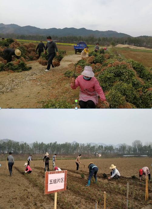 W020240902658029338917 好博(中国)体育智能科技股份有限公司网站