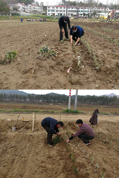 W020240902658029755548 好博(中国)体育智能科技股份有限公司网站