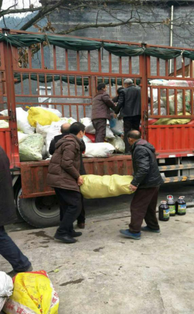 W020240902658237336471 好博(中国)体育智能科技股份有限公司网站