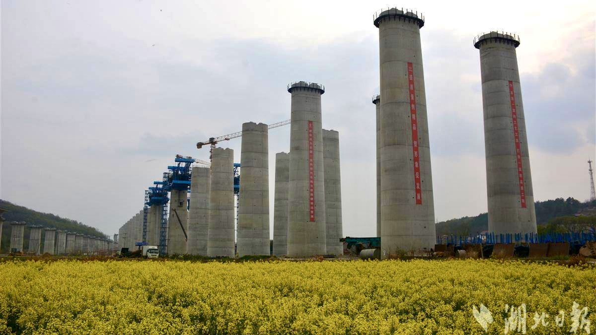 W020240902661038406596 好博(中国)体育智能科技股份有限公司网站