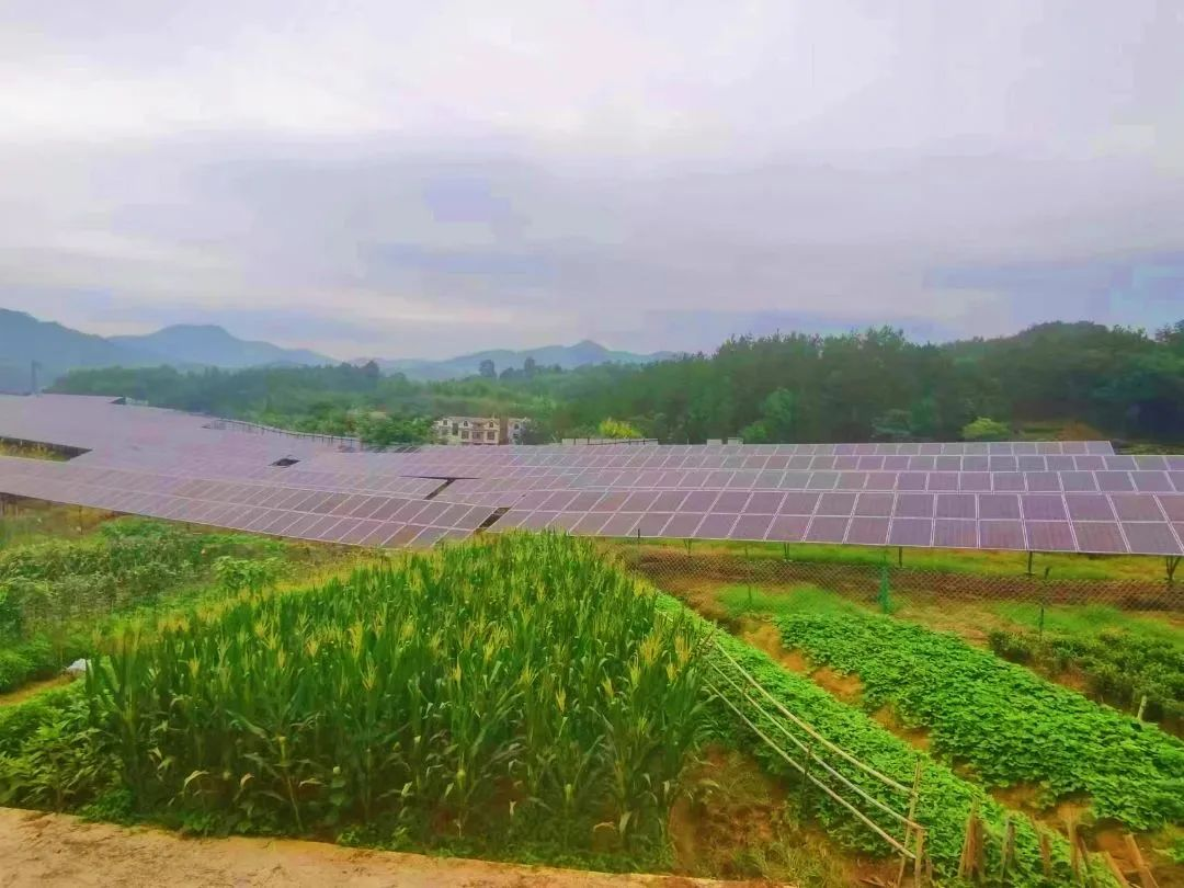 W020240902662028336531 好博(中国)体育智能科技股份有限公司网站