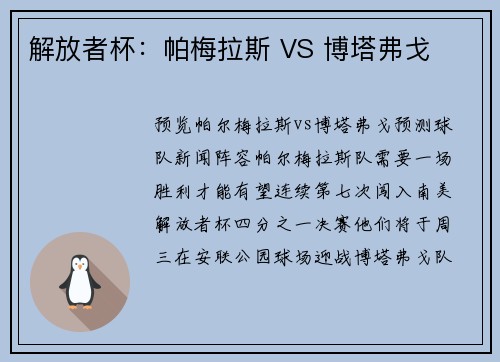 解放者杯：帕梅拉斯 VS 博塔弗戈
